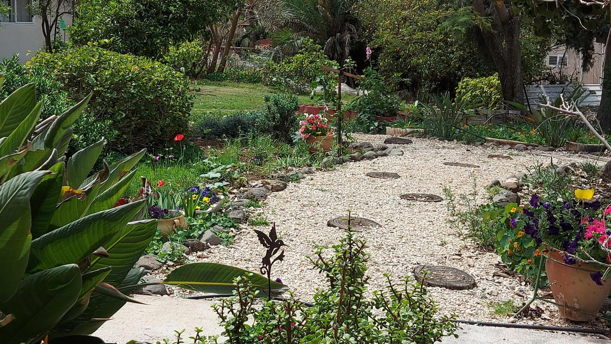 Pundak Guesthouse Ramot Dış mekan fotoğraf